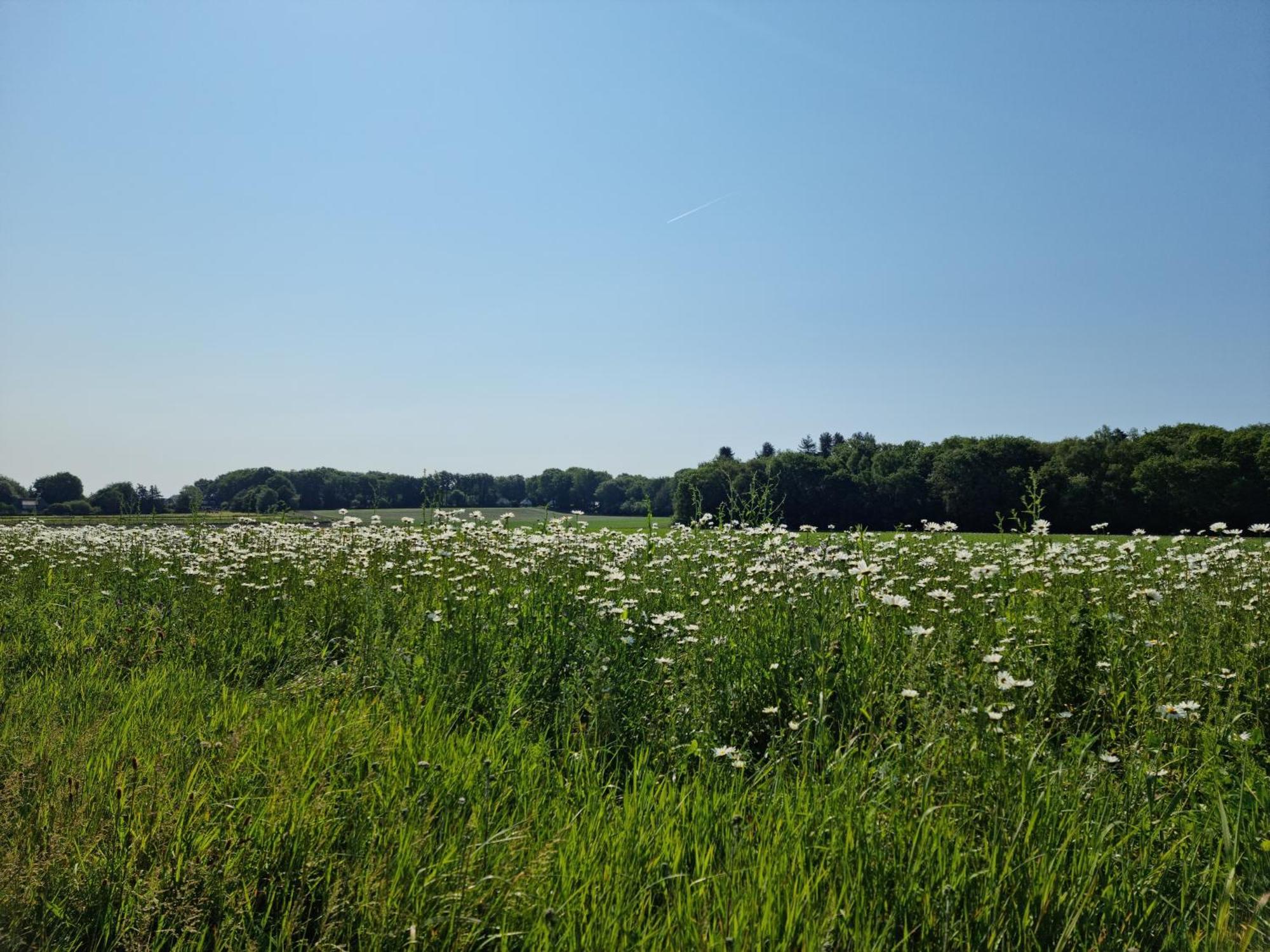 Logeren Bij Sabine En Jw Appartement Beekbergen Buitenkant foto